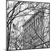 Veiled Flatiron Building (b/w) (detail)-Erin Clark-Mounted Art Print