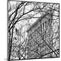 Veiled Flatiron Building (b/w) (detail)-Erin Clark-Mounted Art Print