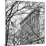 Veiled Flatiron Building (b/w) (detail)-Erin Clark-Mounted Art Print