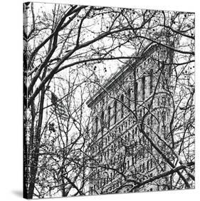 Veiled Flatiron Building (b/w) (detail)-Erin Clark-Stretched Canvas