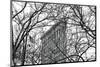 Veiled Flatiron Building (b/w)-Erin Clark-Mounted Art Print