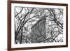 Veiled Flatiron Building (b/w)-Erin Clark-Framed Art Print