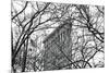 Veiled Flatiron Building (b/w)-Erin Clark-Mounted Art Print