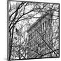 Veiled Flatiron Building (detail)-Erin Clark-Mounted Giclee Print