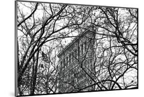 Veiled Flatiron Building-Erin Clark-Mounted Giclee Print