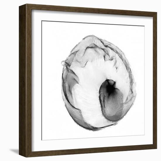 Veiled Illusions I-Kim Curinga-Framed Art Print