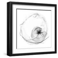 Veiled Illusions II-Kim Curinga-Framed Art Print