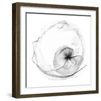 Veiled Illusions II-Kim Curinga-Framed Art Print