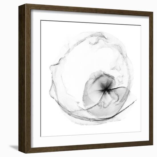 Veiled Illusions II-Kim Curinga-Framed Art Print