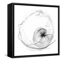 Veiled Illusions II-Kim Curinga-Framed Stretched Canvas