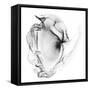 Veiled Illusions III-Kim Curinga-Framed Stretched Canvas