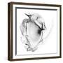 Veiled Illusions III-Kim Curinga-Framed Art Print