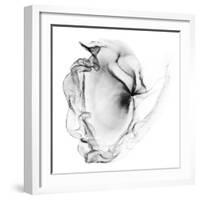 Veiled Illusions III-Kim Curinga-Framed Art Print