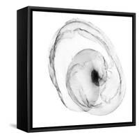 Veiled Illusions IV-Kim Curinga-Framed Stretched Canvas