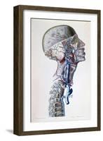 Veins and Arteries in the Head-Antoine Chazal-Framed Giclee Print