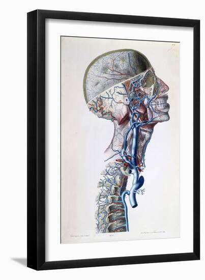Veins and Arteries in the Head-Antoine Chazal-Framed Giclee Print