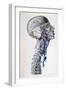 Veins and Arteries in the Head-Antoine Chazal-Framed Giclee Print