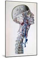 Veins and Arteries in the Head-Antoine Chazal-Mounted Giclee Print