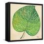 Veins of Green Leaf on Cream II-Patricia Pinto-Framed Stretched Canvas