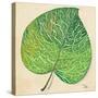 Veins of Green Leaf on Cream II-Patricia Pinto-Stretched Canvas