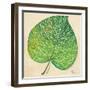 Veins of Green Leaf on Cream II-Patricia Pinto-Framed Art Print