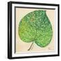 Veins of Green Leaf on Cream II-Patricia Pinto-Framed Art Print