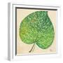 Veins of Green Leaf on Cream II-Patricia Pinto-Framed Art Print