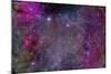 Vela Supernova Remnant in the Center of the Gum Nebula Area of Vela-Stocktrek Images-Mounted Photographic Print