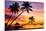 Velavary Sunset Art Print Poster-null-Mounted Poster