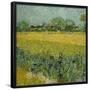 Veld met bloemen bij Arles / Field with flowers near Arles. Date/Period: 1888. Painting. Oil on ...-VINCENT VAN GOGH-Framed Poster