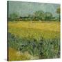 Veld met bloemen bij Arles / Field with flowers near Arles. Date/Period: 1888. Painting. Oil on ...-VINCENT VAN GOGH-Stretched Canvas