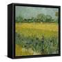 Veld met bloemen bij Arles / Field with flowers near Arles. Date/Period: 1888. Painting. Oil on ...-VINCENT VAN GOGH-Framed Stretched Canvas