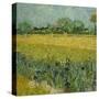 Veld met bloemen bij Arles / Field with flowers near Arles. Date/Period: 1888. Painting. Oil on ...-VINCENT VAN GOGH-Stretched Canvas