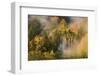 Veliki Prstavci Waterfalls Close to Gradinsko Lake at Dawn, Upper Lakes, Plitvice Lakes Np, Croatia-Biancarelli-Framed Photographic Print