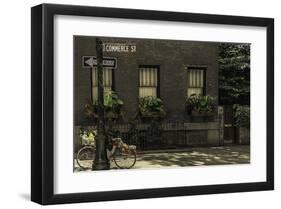 Velo De Fleur on Commerce-null-Framed Art Print