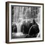 Velo de Novia-Moises Levy-Framed Photographic Print