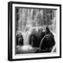 Velo de Novia-Moises Levy-Framed Photographic Print