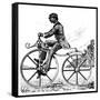 Velocipede, 1866-null-Framed Stretched Canvas