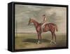 'Velocipede, Winner of the St. Leger, 1828', c1828, (1929)-Edward Duncan-Framed Stretched Canvas