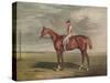 'Velocipede, Winner of the St. Leger, 1828', c1828, (1929)-Edward Duncan-Stretched Canvas