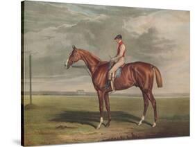 'Velocipede, Winner of the St. Leger, 1828', c1828, (1929)-Edward Duncan-Stretched Canvas