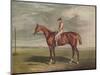 'Velocipede, Winner of the St. Leger, 1828', c1828, (1929)-Edward Duncan-Mounted Giclee Print