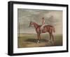 'Velocipede, Winner of the St. Leger, 1828', c1828, (1929)-Edward Duncan-Framed Giclee Print