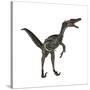 Velociraptor, a Theropod Dinosaur from the Late Cretaceous Period-null-Stretched Canvas