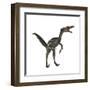 Velociraptor, a Theropod Dinosaur from the Late Cretaceous Period-null-Framed Art Print