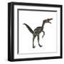 Velociraptor, a Theropod Dinosaur from the Late Cretaceous Period-null-Framed Art Print