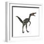 Velociraptor, a Theropod Dinosaur from the Late Cretaceous Period-null-Framed Art Print