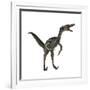 Velociraptor, a Theropod Dinosaur from the Late Cretaceous Period-null-Framed Art Print