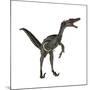 Velociraptor, a Theropod Dinosaur from the Late Cretaceous Period-null-Mounted Art Print