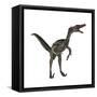 Velociraptor, a Theropod Dinosaur from the Late Cretaceous Period-null-Framed Stretched Canvas